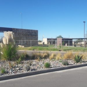 IMG-20250703-WA0159